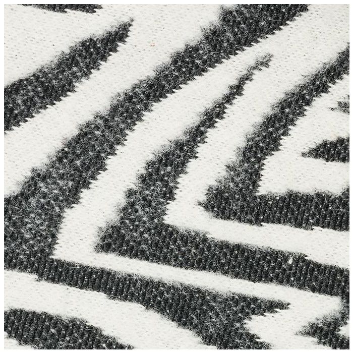 Avani zebra