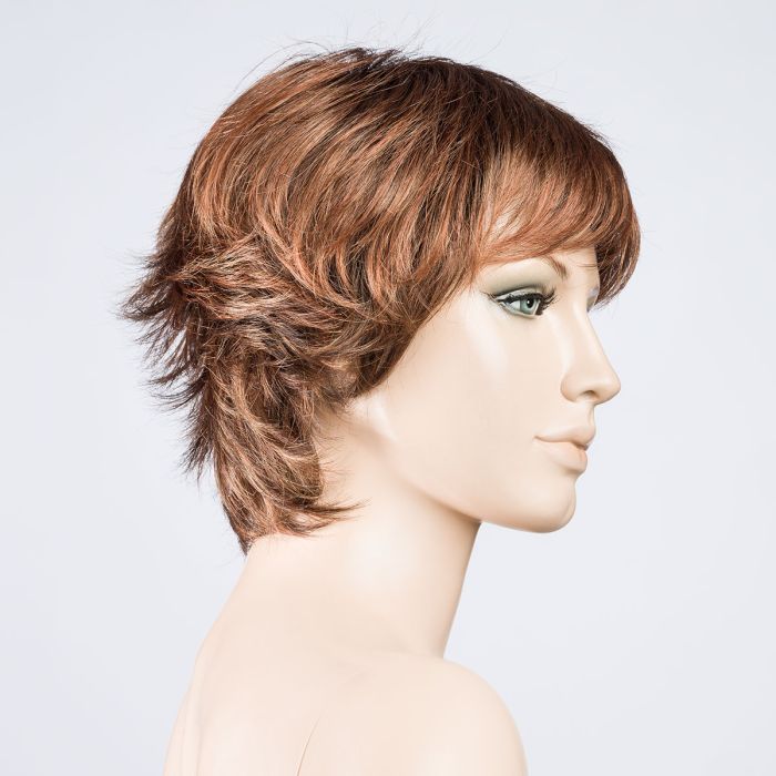 Club 10 hazelnut rooted