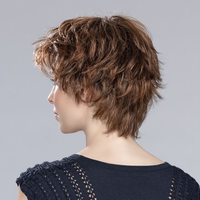 Club 10 hazelnut rooted